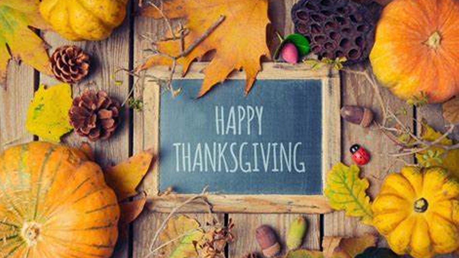 Happy Thanksgiving! 🦃⁠❤️🤍💙 - TF Tools Ltd