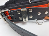 Buckaroo Toolbelts | All Rounder Belt - Buckaroo ToolbeltsTF Tools Ltd