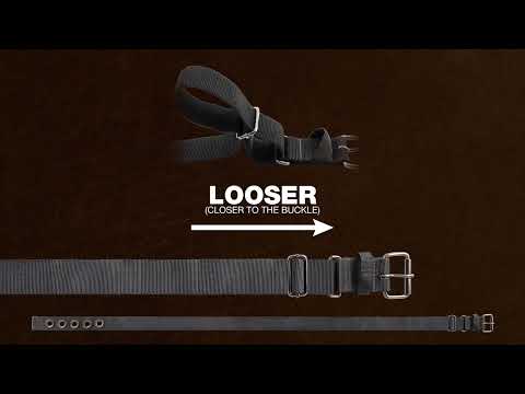 Dead On | Pro Carpenter's Suspension Rig